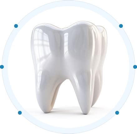 Top-rated Family Dental Care in Everett, Lynnwood | PrimeCare Dental