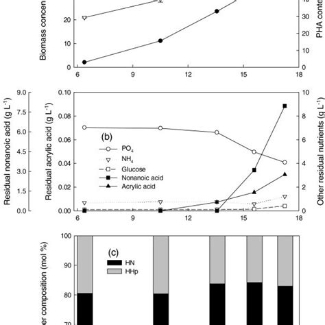 Cumulative Pha Productivity In P Putida Kt2440 Under Nonanoic Acid And