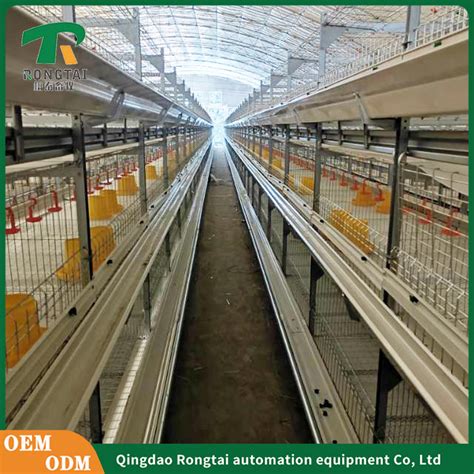 Layer Chicken Cage Battery Cages Laying Hens Poultry Farm China