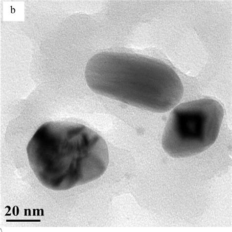 A B Tem Images Of Agnps Observed At Nm Scale And C Selected