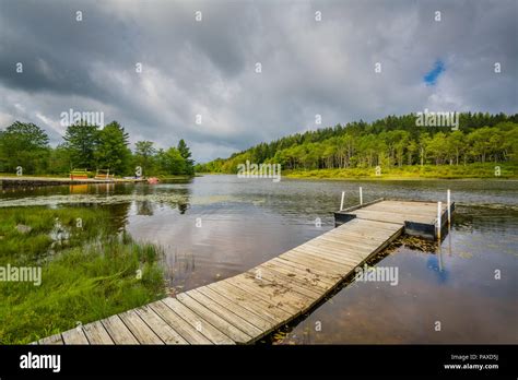 Pendleton Lake At Blackwater Falls State Park West Virginia Stock