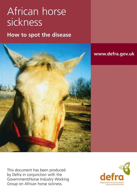 African horse sickness - How to spot the disease - Gov.uk