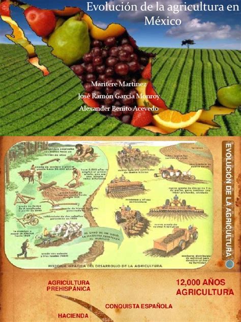 Evolución De La Agricultura En México Pdf Agricultura México