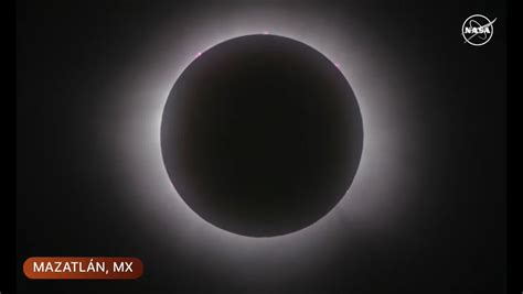 Así Se Vivió El Eclipse Solar Total En América Periodico Digital Pulgarcito News