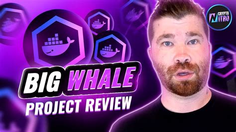 BigWhale Io Project Review 2023 Daily ROI From 0 8 2 100