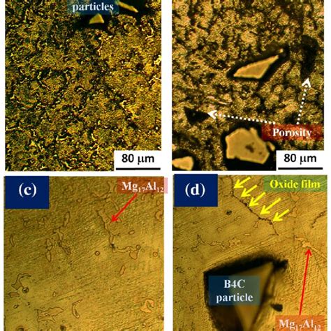 The Optical Microstructures Of A Etched Az91 1 B 4 C B Etched Download Scientific Diagram