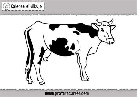 Vaca Dibujo Para Colorear