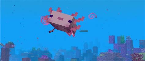 Все что нужно знать про аксолотлей в Minecraft - Игровой мир
