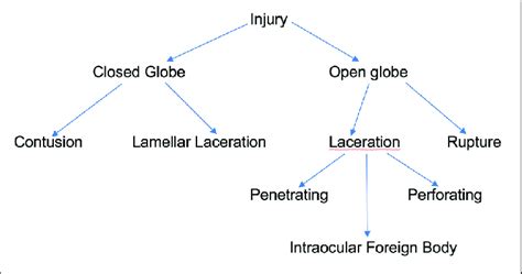 Betts Classification Of Ocular Trauma Deals | emergencydentistry.com