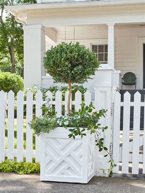 Front Door Container Garden Ideas For An Eye Catching Entryway