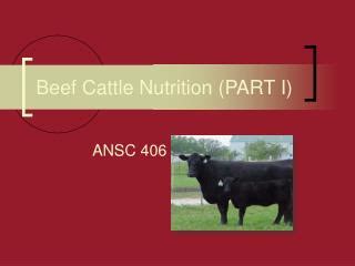 Ppt Beef Cattle Nutrition Part I Powerpoint Presentation Free