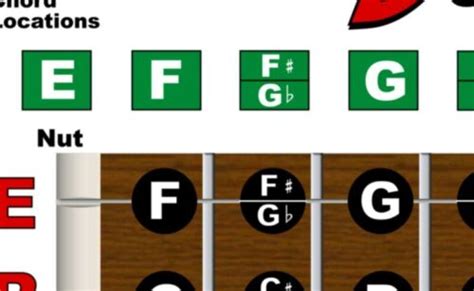 Dobro Fretboard Wall Chart Resonator Guitar Poster E Tuning Notes ...