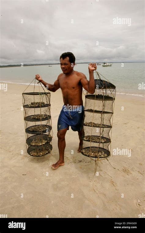 Santa Cruz Cabralia Bahia Brazil December 13 2010 Fisherman Is