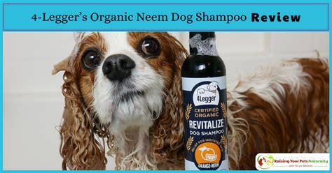 Usda Certified Organic Dog Shampoo With Organic Aloe Juice And Organic