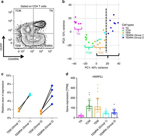 Gene Expression Data Indicates That Cd4 Effector Memory T Cells