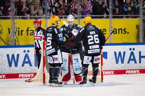 Heimsieg Zum Halbfinale Auftakt Fischtown Pinguins