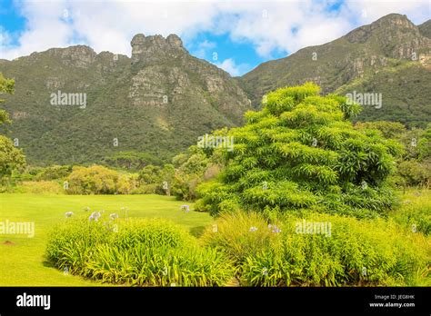 Kirstenbosch Cape Town Stock Photo Alamy