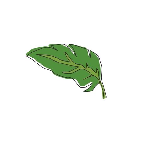 Premium Vector One Single Line Drawing Of Tropical Banana Leaf Plant