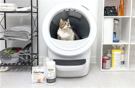 Litter Robot 4 Reconditioned Bundle Automatic Litter Box
