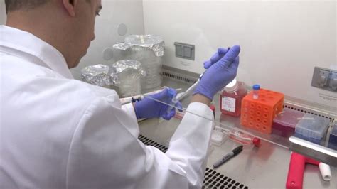 UMES Professor Provides New Hope For Prostate Cancer Research 47abc