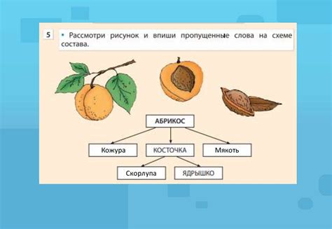 Схема состава объекта и адрес составной части - презентация онлайн