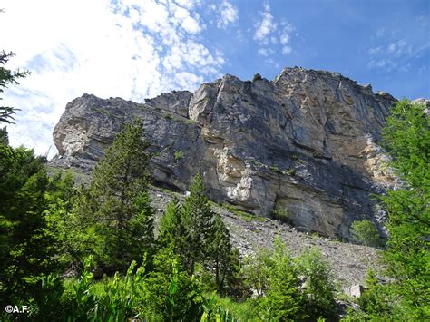 Anellino Del Ch Riond L Appenninista