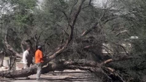 Transitar con precaución por Ruta Nacional 60 El Esquiu