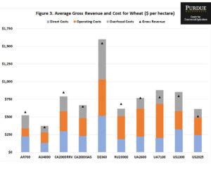 International Benchmarks For Wheat Production Center For