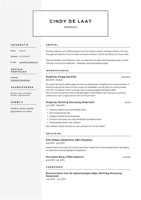 Zorghulp Cv Voorbeeld X Voor Een Perfect Cv Solliciteer Net