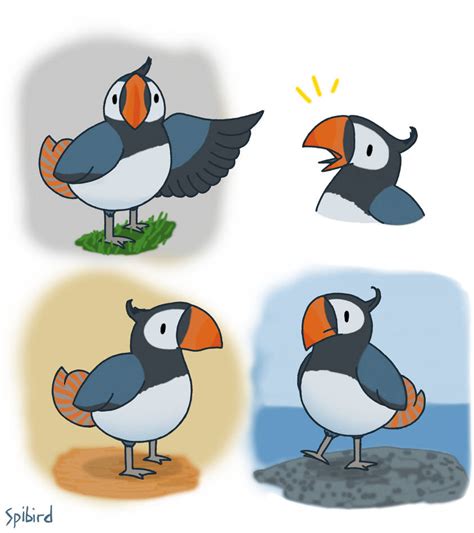 Puffin By Spibird On Deviantart