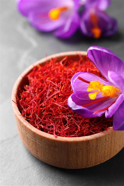 How To Grow Saffron At Home Steps To Follow