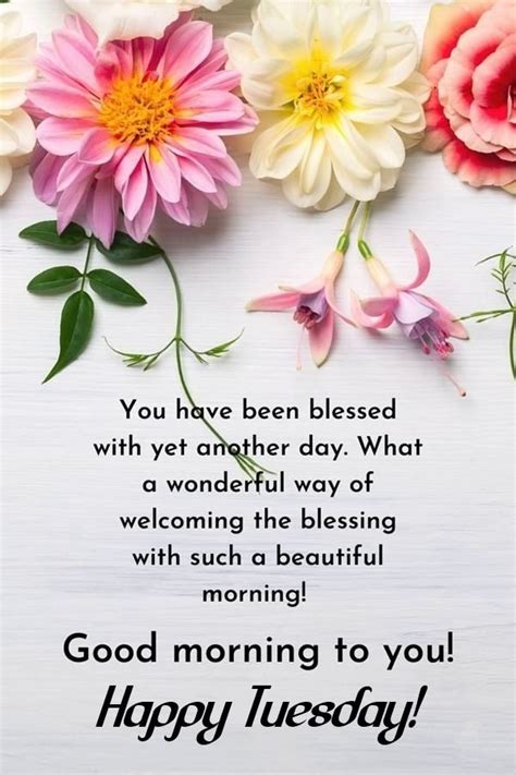 40 Happy Tuesday Morning Wishes Quotes And Messages