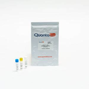 Solution Reagent Kit QScript One Step QuantaBio Reverse