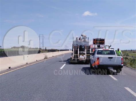 Termopl Stica Zcatecas Cactus Traffic Cactus Traffic