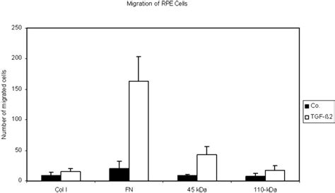 Tgf Increased The Migration Of Rpe Cells On Fn And Its Kda