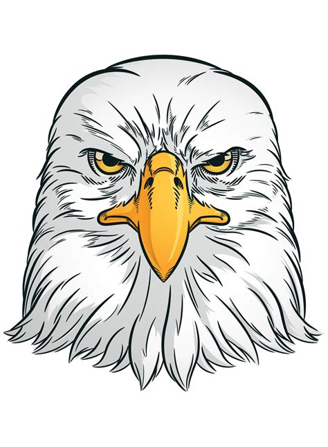 Eagle Head Front View Falcon Bird 27565503 Vector Art at Vecteezy