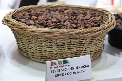 Le Conseil Du Caf Cacao Participe La E Dition Du Salon