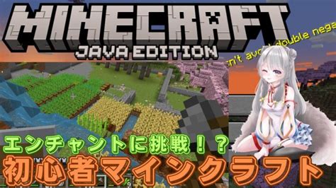 【初心者のマインクラフト エンチャントをしてみよう！】釣り竿かツルハシか悩む【ゆめふぁみクラフト】 Minecraft Summary マイクラ動画