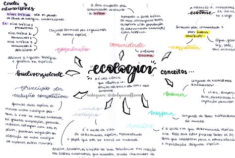 Resumo Sobre Ecologia Conceitos Biologia Estuda Oab