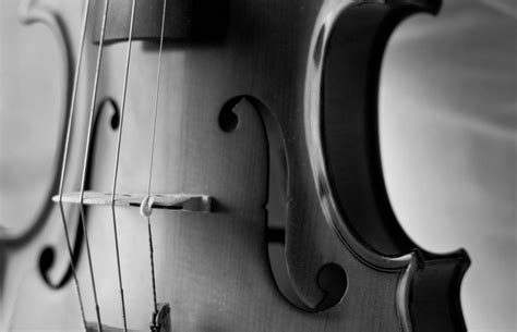 Musical Instrument Themed Photography Blog