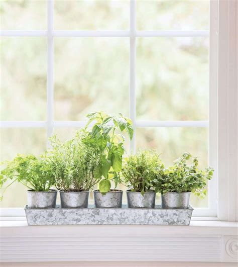 Window Sill Herb Garden Ideas