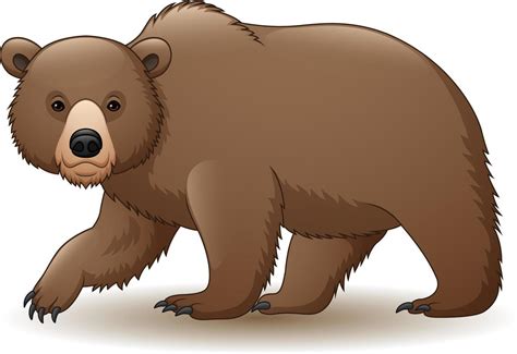 Oso Pardo De Dibujos Animados Vector En Vecteezy