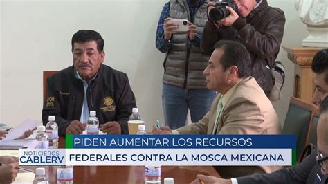 Piden desde SLP que la federación aumenta recursos para el combate de