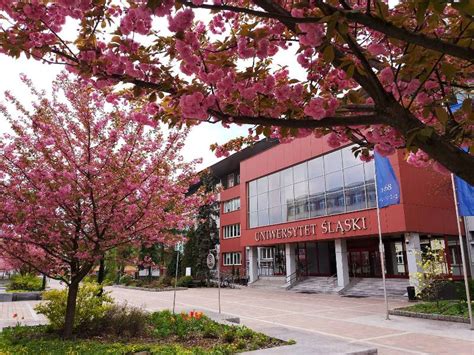 University Of Silesia In Katowice Welcomepoint