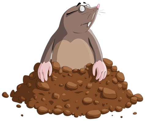 Mole Cartoon Png Clipart Image Clip Art Talpa Animali