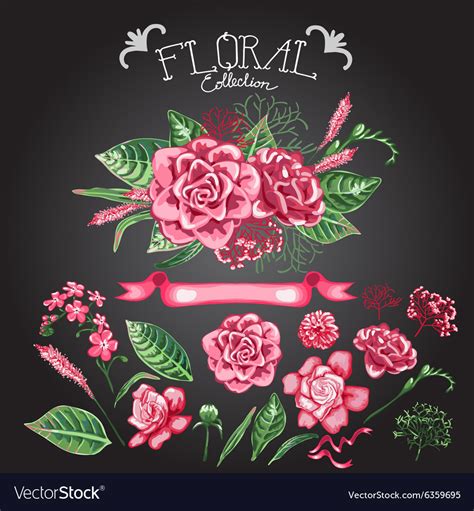 Collection Of Flowers Royalty Free Vector Image