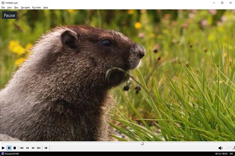 Media Player Classic İndir
