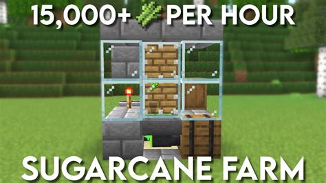 How To Make An Instent Sugercan Farm In Minecraft Pe Java Youtube