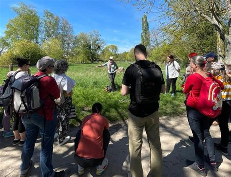 Visite Groupe Reconna Tre Les Plantes Comestibles Essonne Tourisme