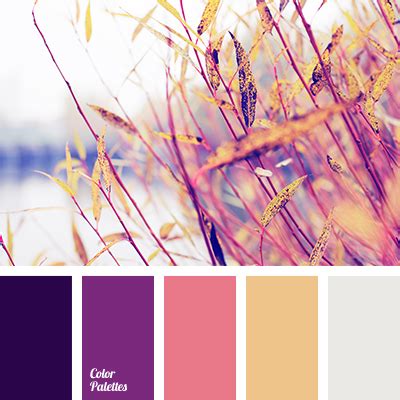 colors of dawn | Color Palette Ideas